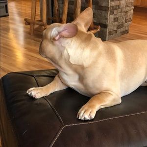 Meet your Posher, Lisa